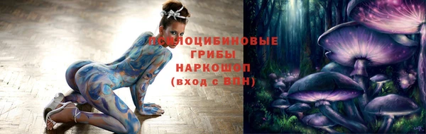 твердый Магас