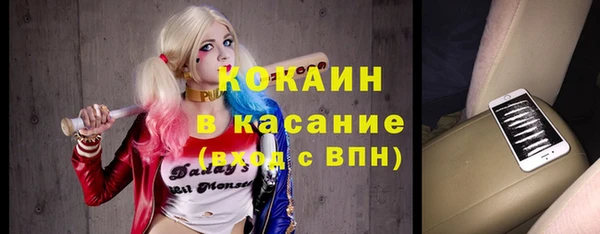 твердый Магас