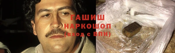 твердый Магас