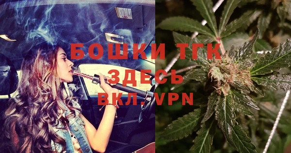 твердый Магас