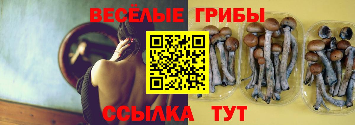 Красноярск  Псилоцибиновые грибы GOLDEN TEACHER  продажа наркотиков  Вход с VPN 